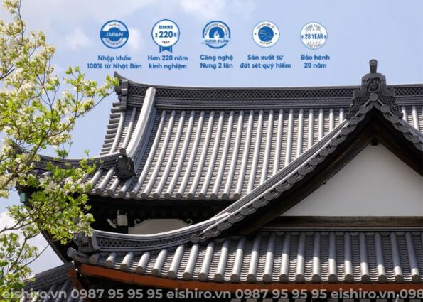 Vì sao là 20 năm – không phải 50 năm hay trọn đời?