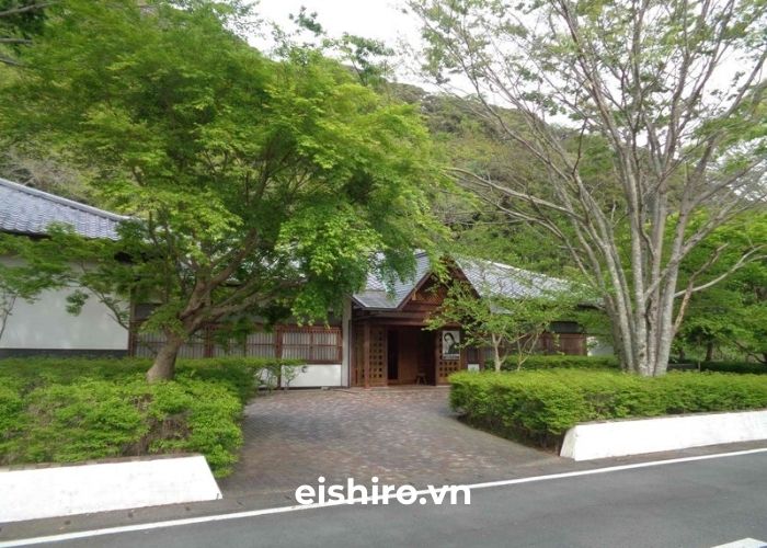 Không gian và nội dung trưng bày