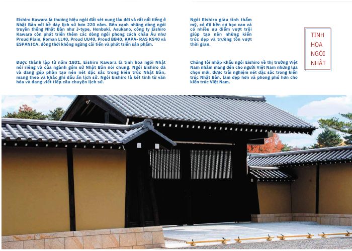 Ngói Eishiro là gì?