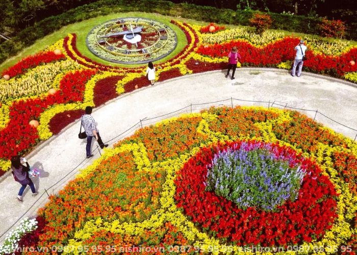 Hoạt động và trải nghiệm tại Denpark