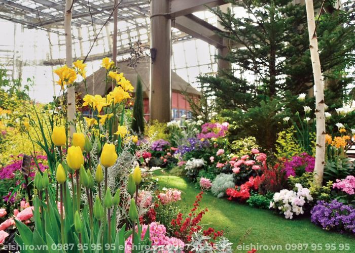 Thông tin tham quan Denpark