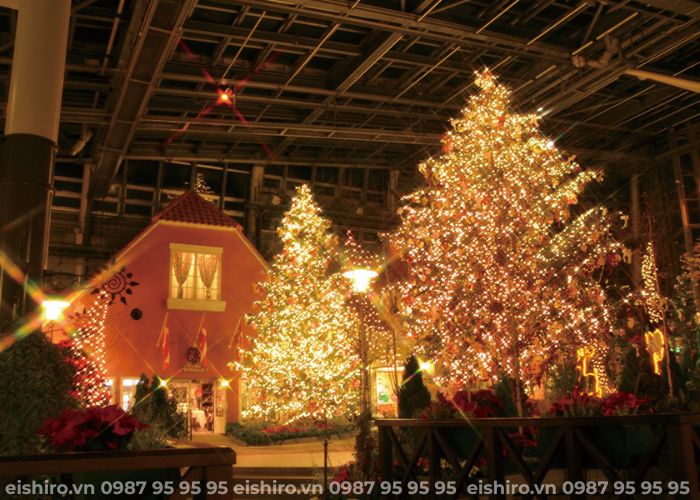 Hoạt động và trải nghiệm tại Denpark