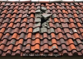 Khi nào nên thay mái ngói?