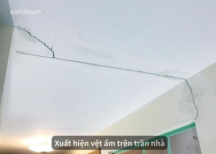 Xuất hiện vệt ẩm nhẹ trên trần nhà