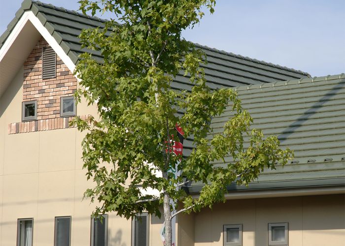 Chuẩn mực kỹ thuật từ Nhật Bản