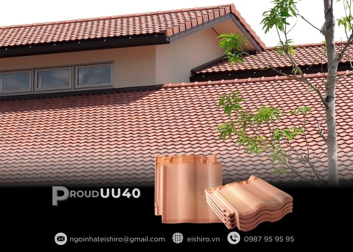 Hai phiên bản – Hai cá tính thẩm mỹ