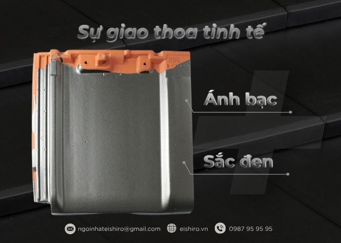 Silver Black – Biểu tượng của sự giao hòa hoàn mỹ