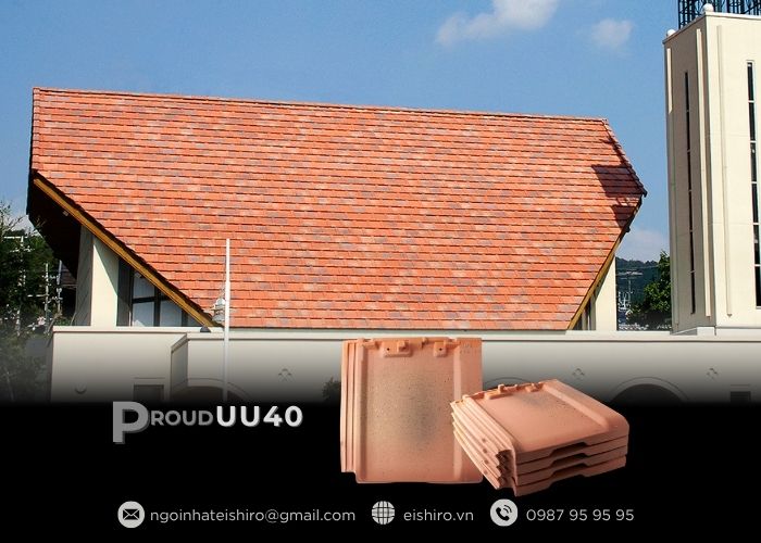 Eishiro Light Red – Tinh tế trong từng sắc độ