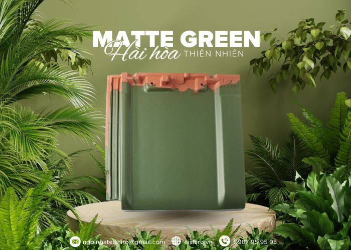 Matte Green – Gam xanh trầm của sự an nhiên và kết nối thiên nhiên