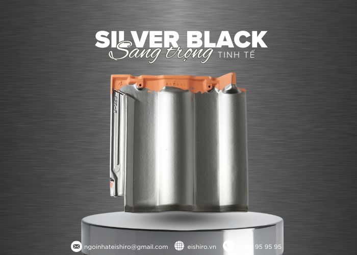 Silver Black – Sắc ánh bạc sang trọng cho kiến trúc hiện đại
