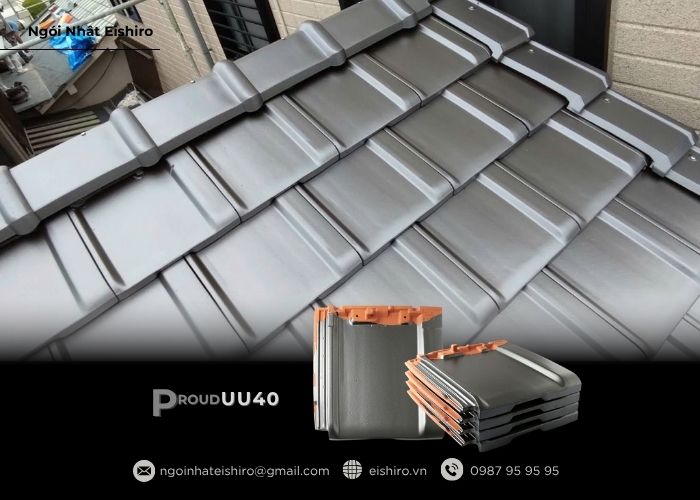 Silver Black – Từ Nhật Bản đến Việt Nam