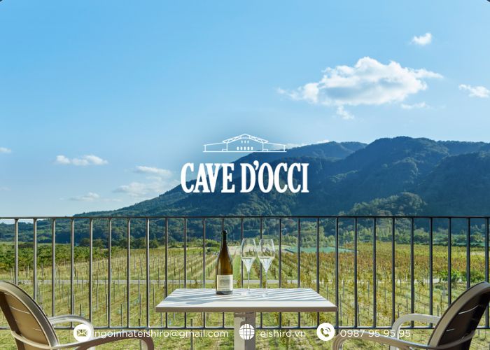 Sự kiện và mùa vụ