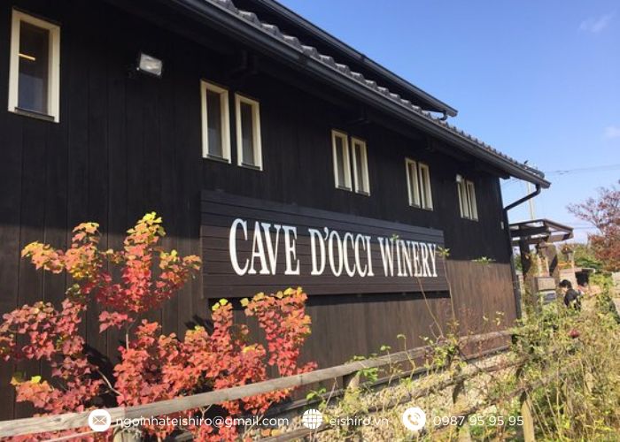 Vị trí và cách di chuyển