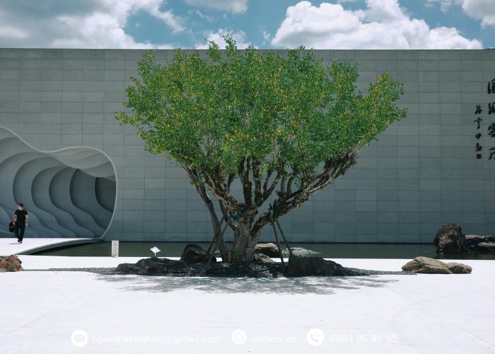 Vườn Zen là gì? – Nghệ thuật tái hiện vũ trụ bằng sự tĩnh