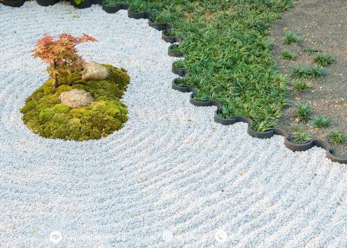 Tại sao vườn Zen lại khiến con người tĩnh hơn?